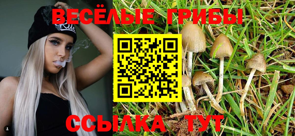Куйбышев  Галлюциногенные грибы Magic Shrooms  Псилоцибиновые грибы мухоморы  Вход с VPN 