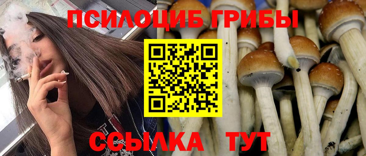 Псилоцибиновые грибы прущие грибы Куйбышев
